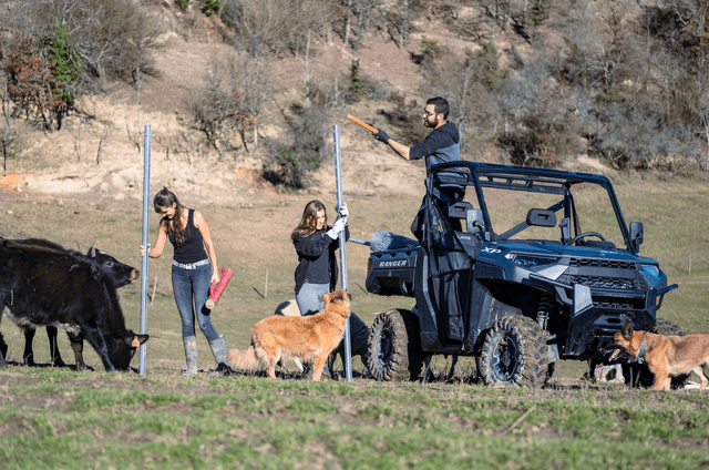 Challenge Clôture - L'HONOR-DE-COS (82)