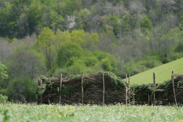 Challenge Haies Sèches - L'HONOR-DE-COS (82)