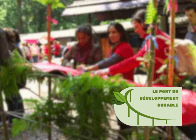Le Pont du Développement Durable – Construisez ensemble le pont de demain - BOULOGNE-BILLANCOURT (92)