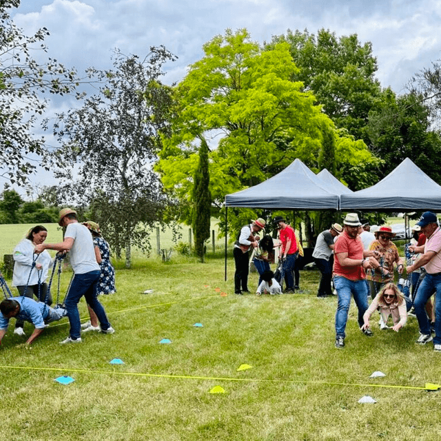 Super Team Party - SAINT-JEAN-DE-BRAYE (45)