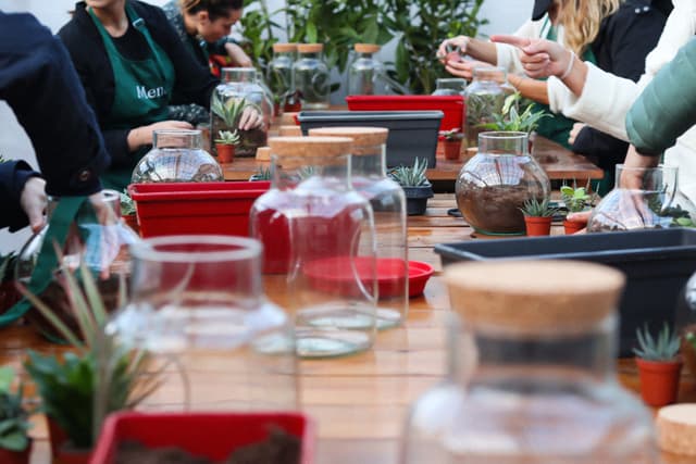 Atelier Terrarium - ANGLET (64)