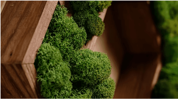 Atelier création libre ou à thème en mousse végétale - ANGLET (64)