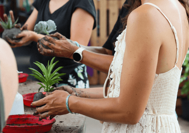 Atelier Kokedama - ANGLET (64)