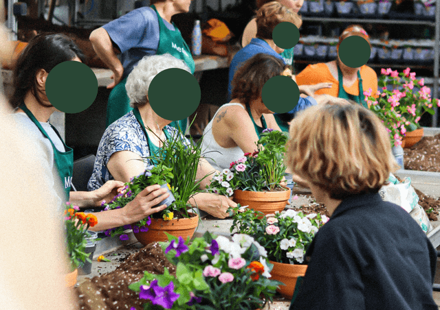 Atelier création et/ou composition de saison - ANGLET (64)