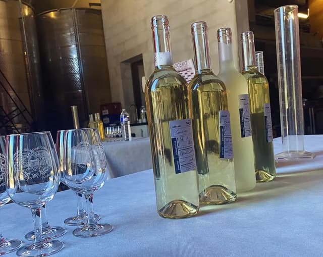 Atelier dégustation : l'assemblage - Saint-Christol (34)