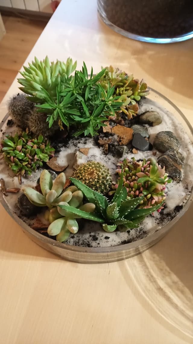 Bocal quizz RSE - MAGNY-LE-HONGRE (Seine-et-Marne)