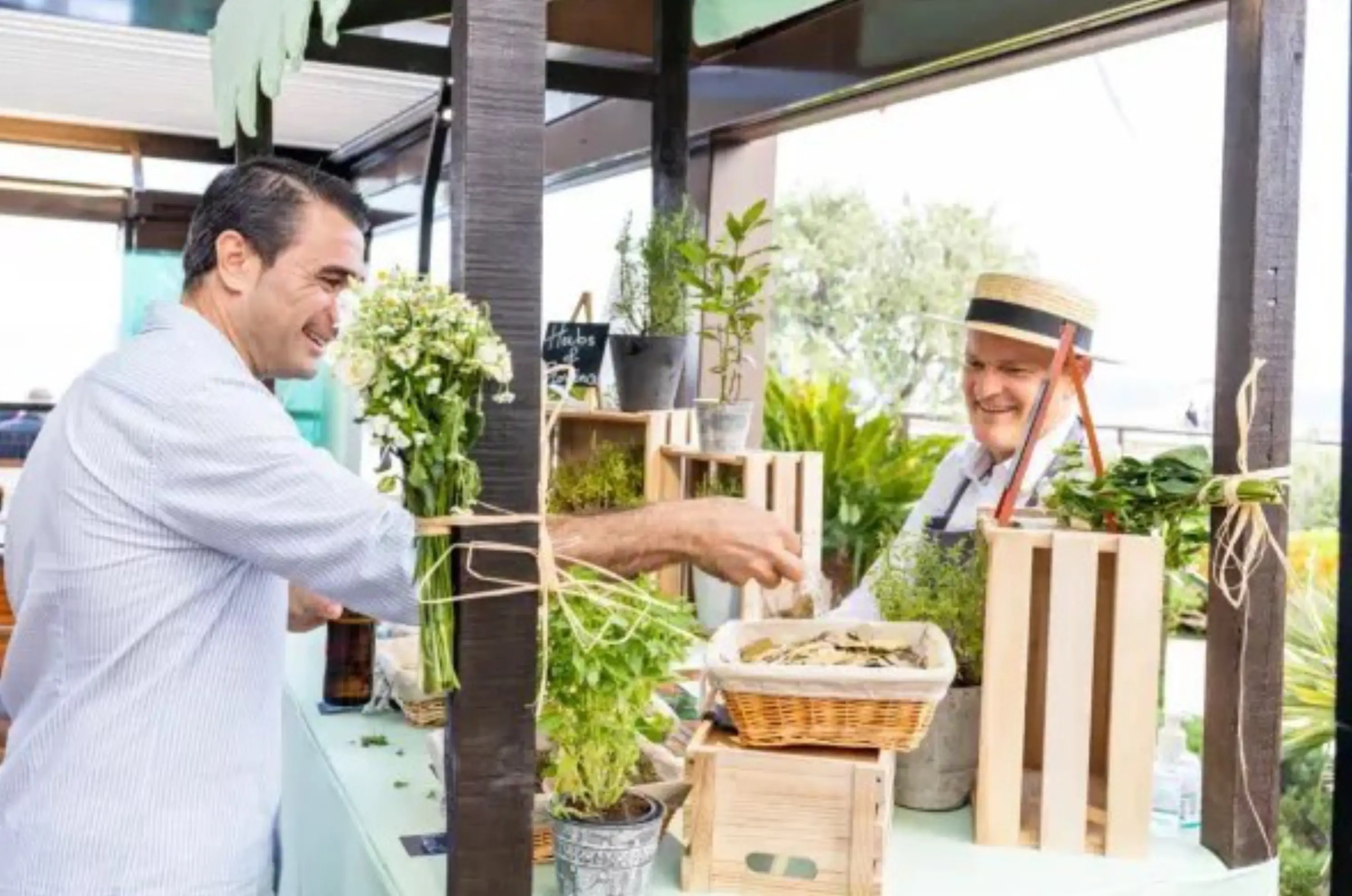 Dimension Sud - GRASSE (Alpes-Maritimes)