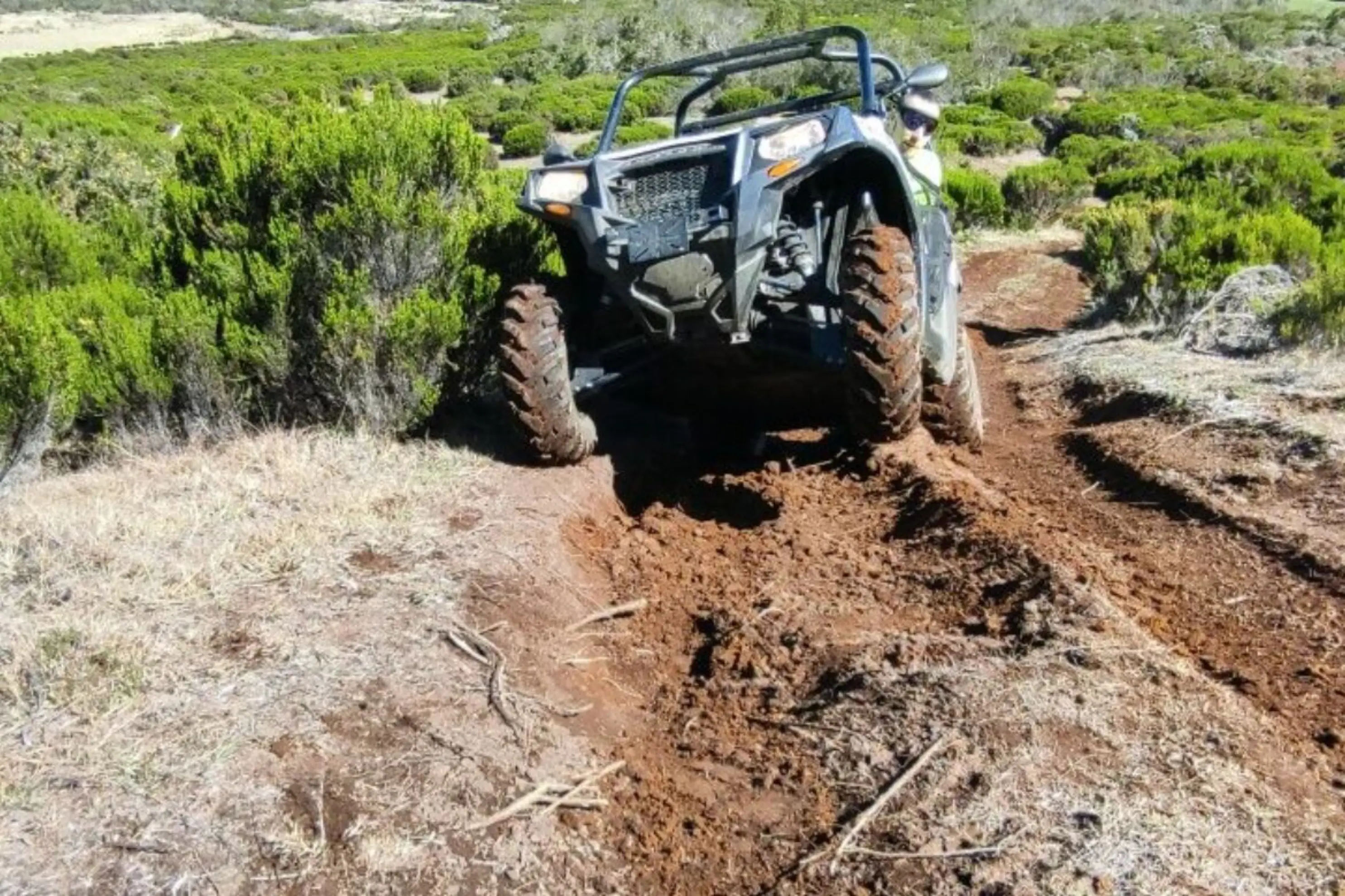 Bugg's Buggy 974 - La Plaine des Cafres (null)