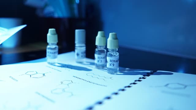 MURDER PARTY - Snatchers - FONTAINEBLEAU (Seine-et-Marne)