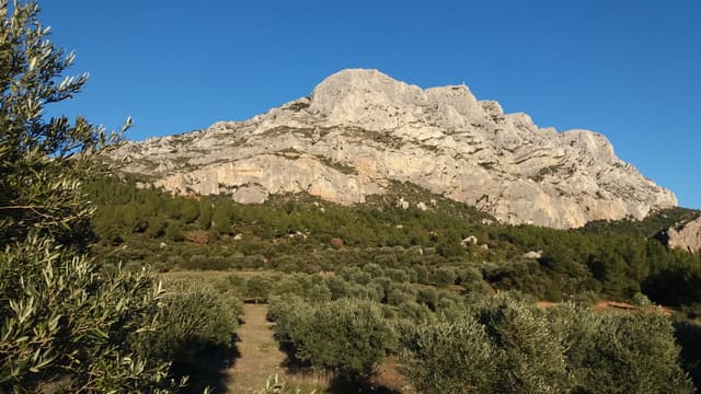 Balade + apéritif au rosé de Provence - ÉGUILLES (13)