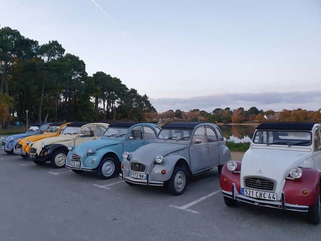 Jeu de piste - SURZUR (56)