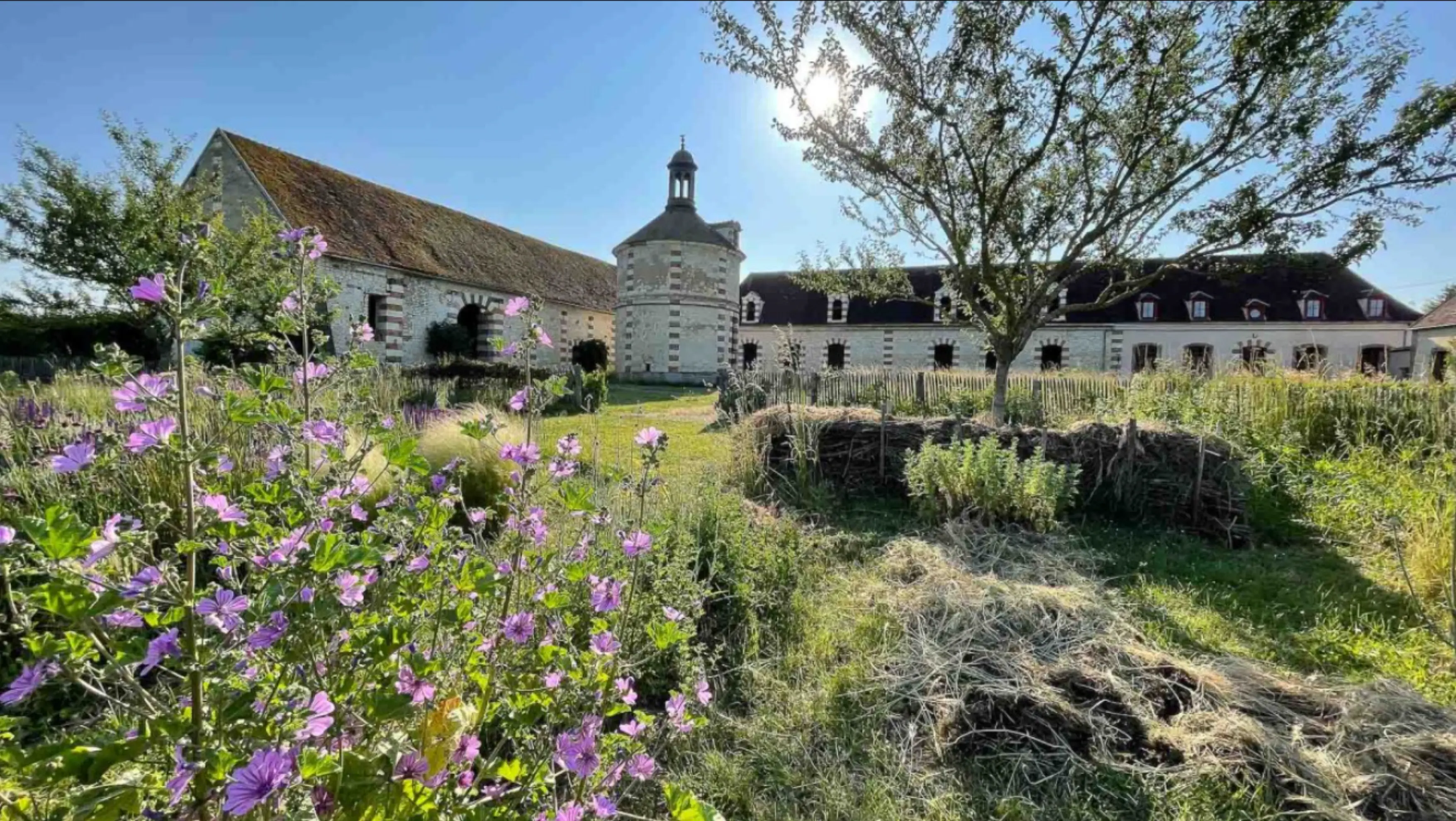 Le Colombier Vert - CHAMPLAY (Yonne)