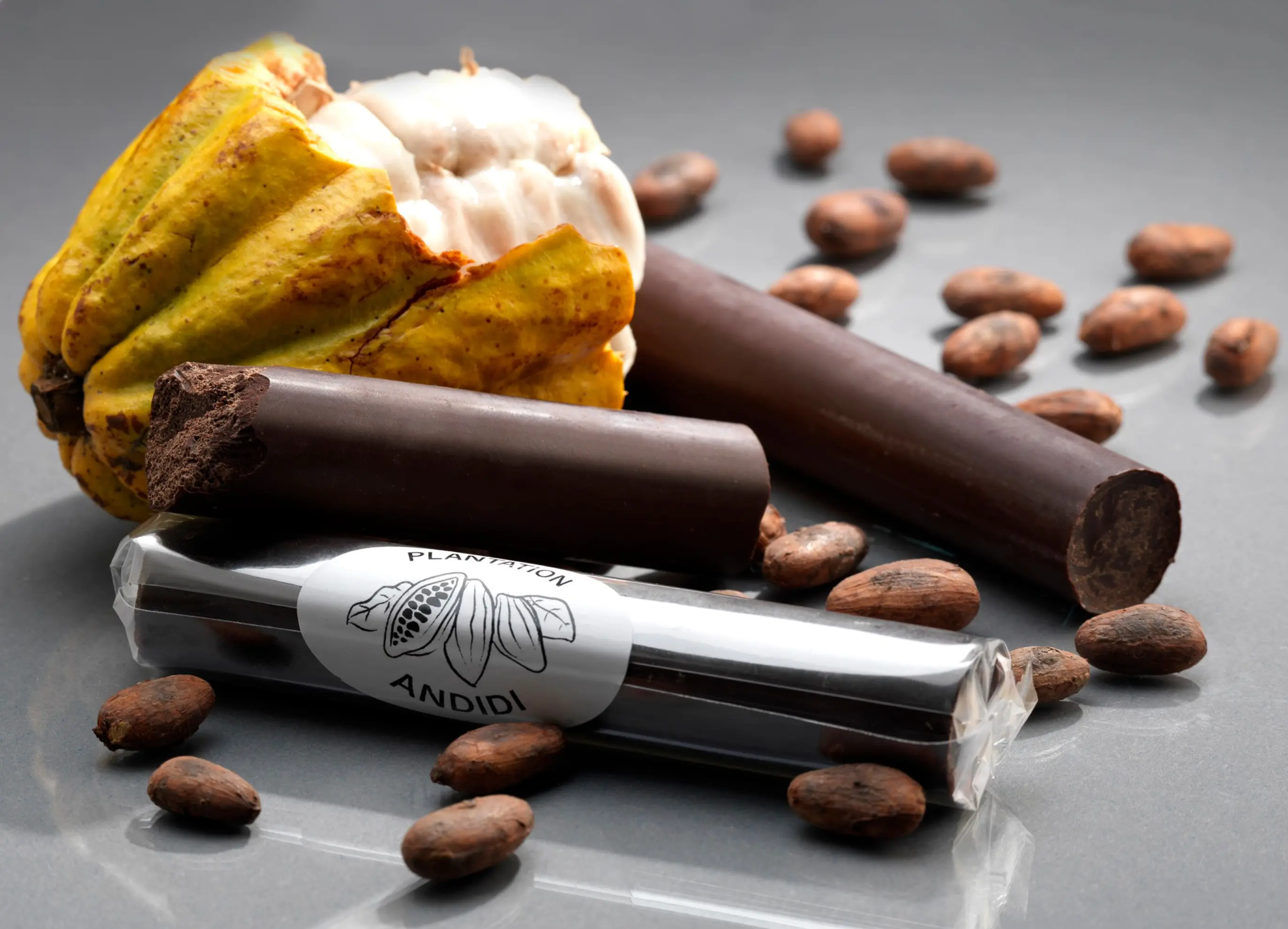 Plantation Andidi - Lorrain (Martinique)