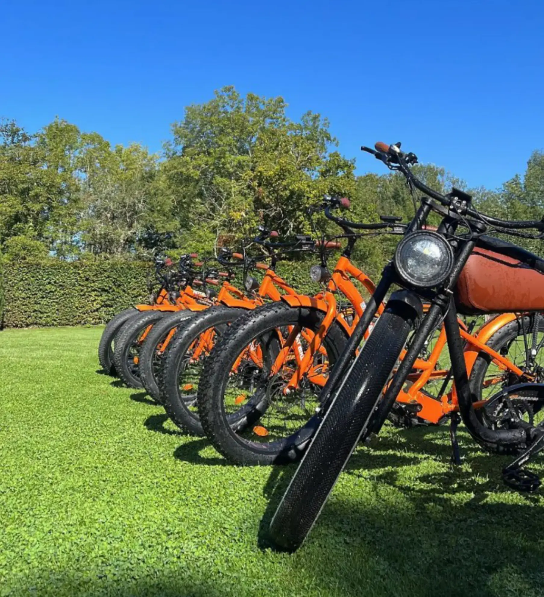 Royal Fat Bike - SAINT-LAURENT-NOUAN (Loir-et-Cher)