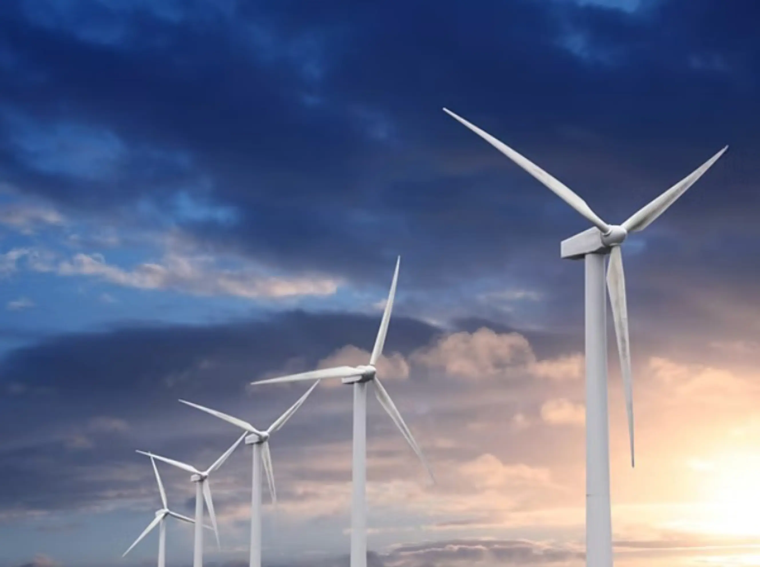 Viseol - La Chapelle-des-Marais (Loire-Atlantique)