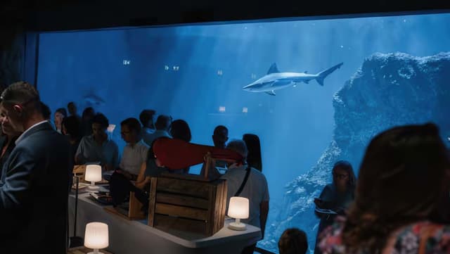 Visite guidée Aquarium ONIRIA - Canet-en-Roussillon (66)