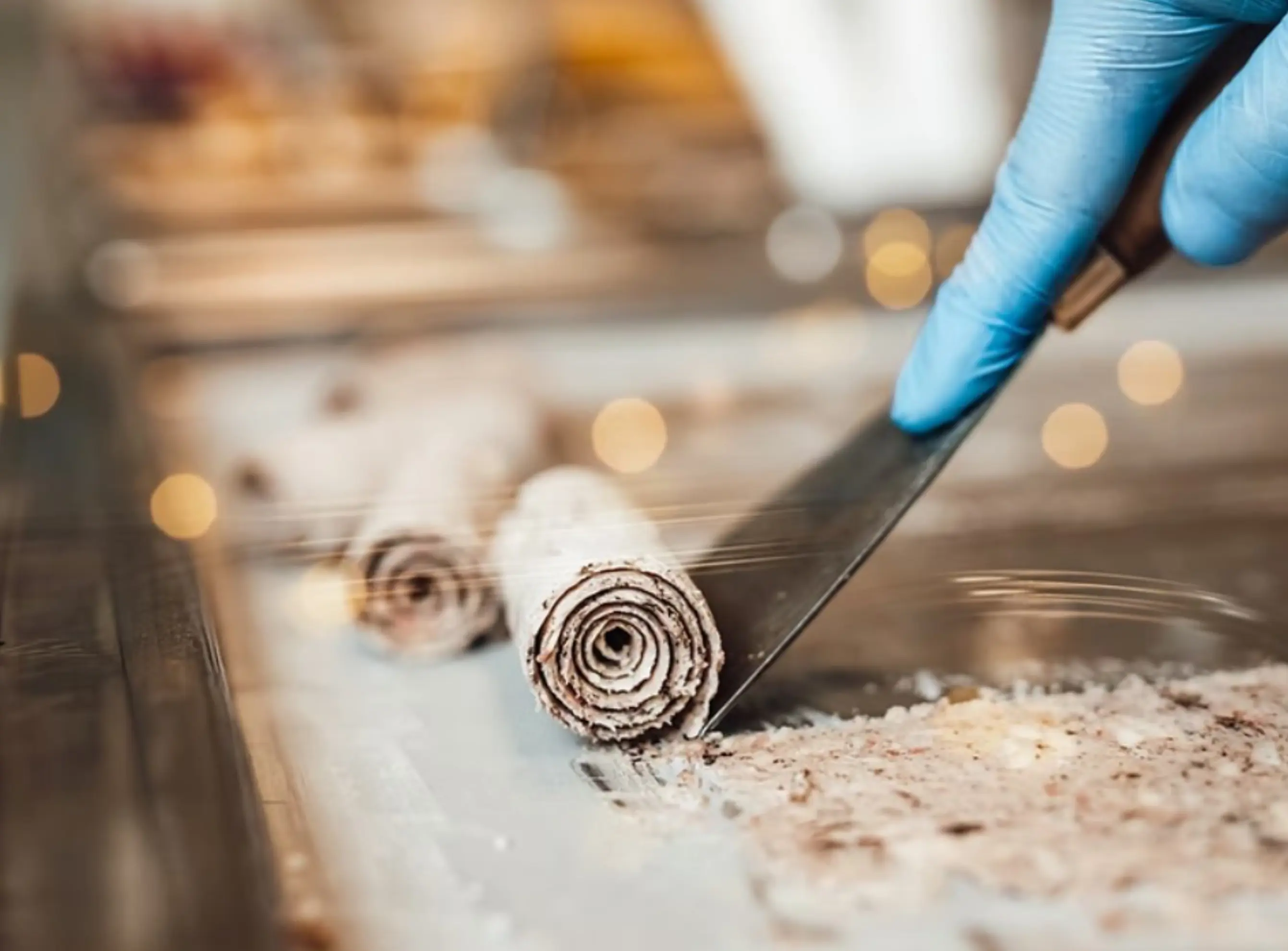 Peyrolls - SAINTE-EULALIE-EN-BORN (Landes)