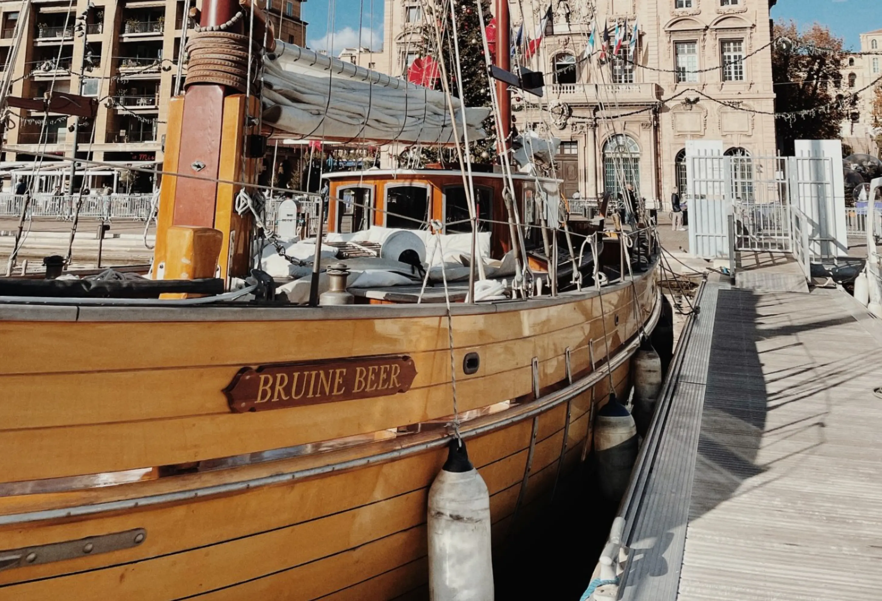 Bruine Beer - MARSEILLE (Bouches-du-Rhône)