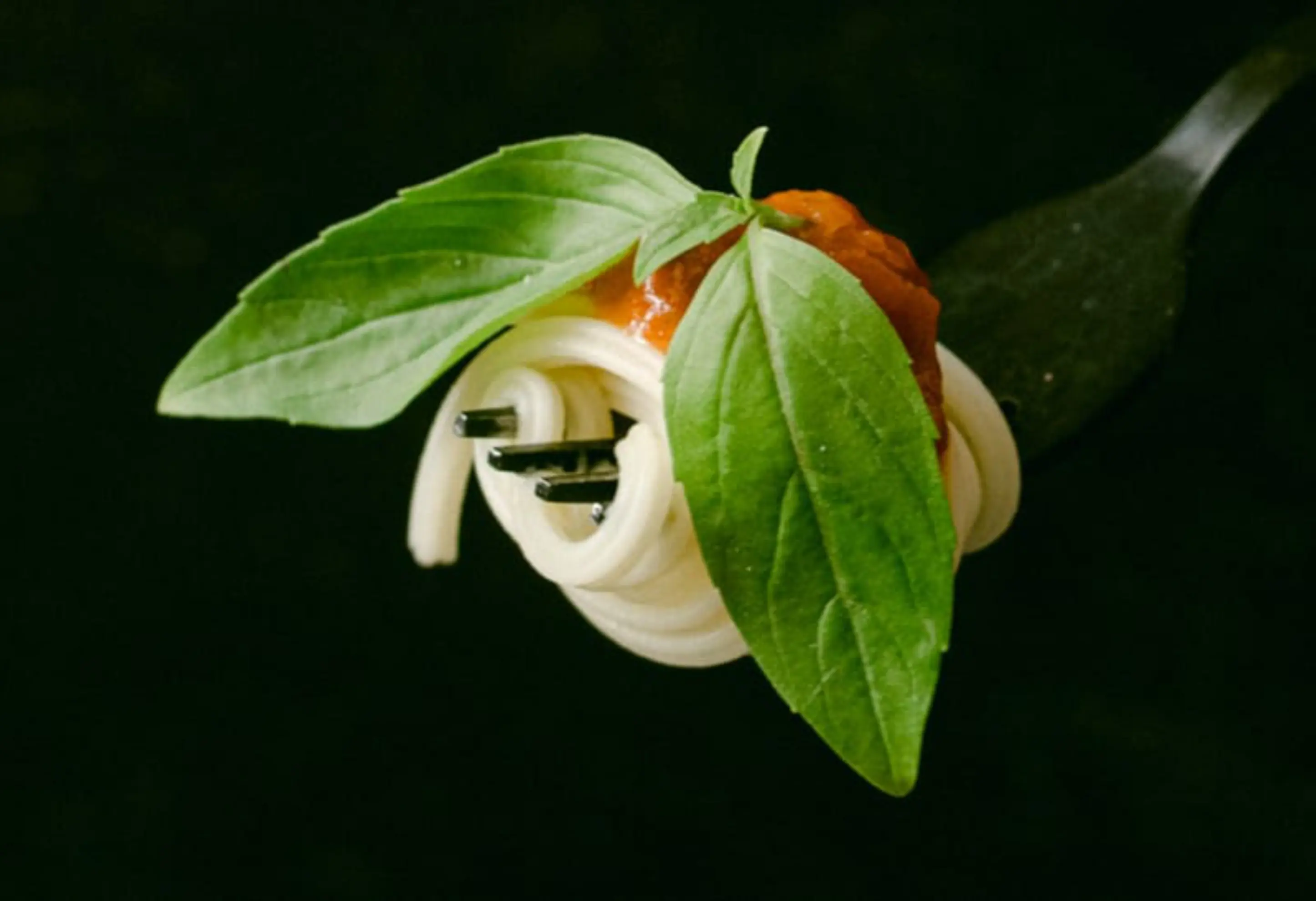 Milles Pates - FALLERON (Vendée)