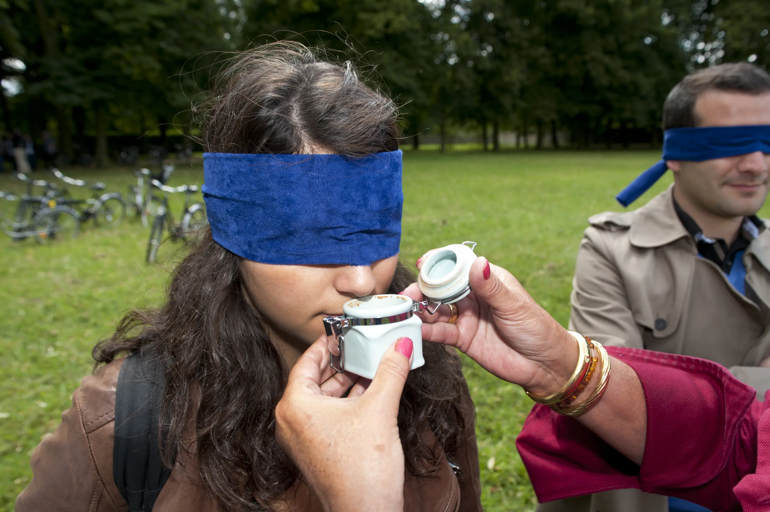 Versailles Activity Event - SAINT-GERMAIN-EN-LAYE (Yvelines)