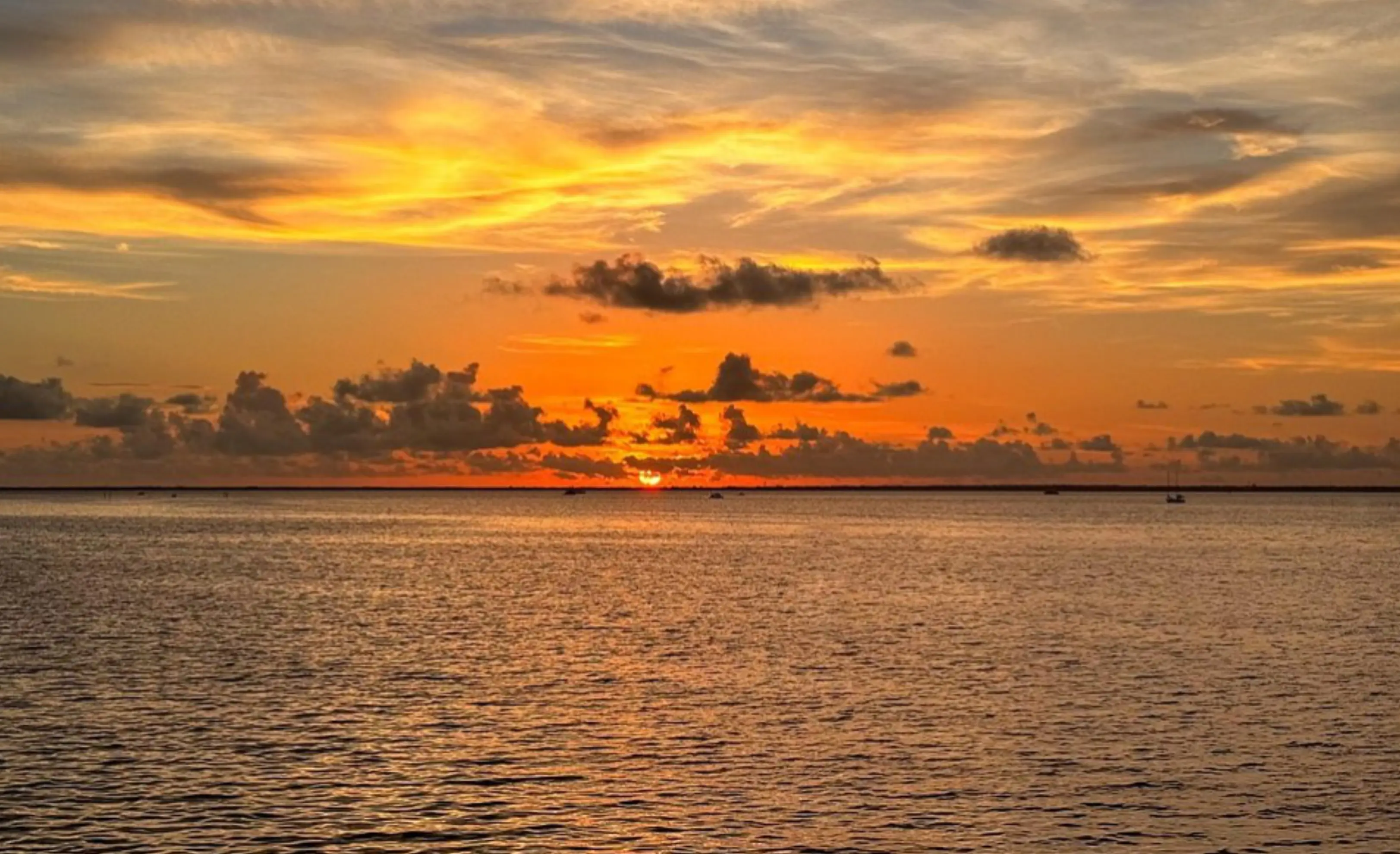 Sea Adventure - SIX-FOURS-LES-PLAGES (Var)