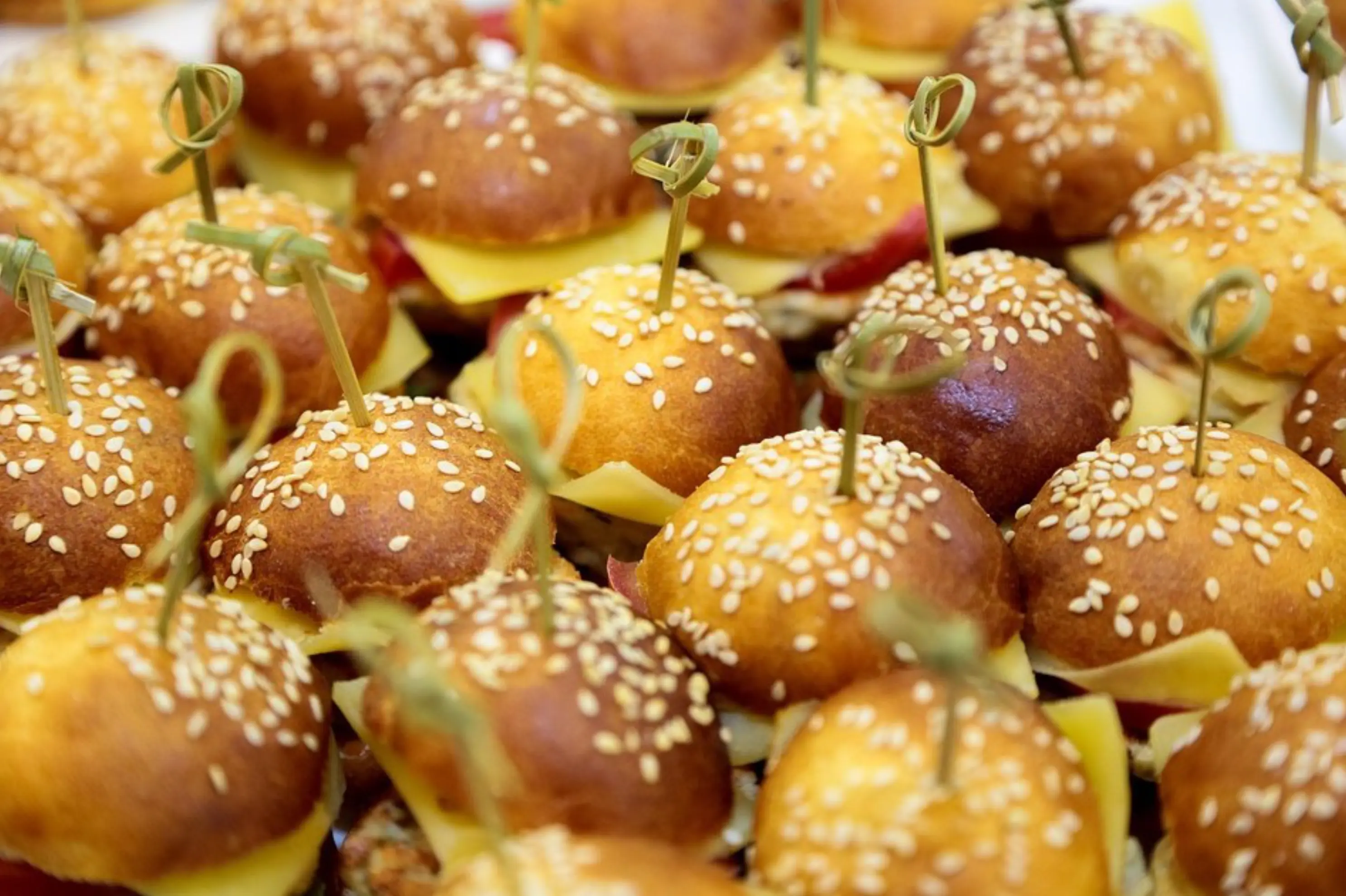 Maison Warin - Saint-Malo (Ille-et-Vilaine)