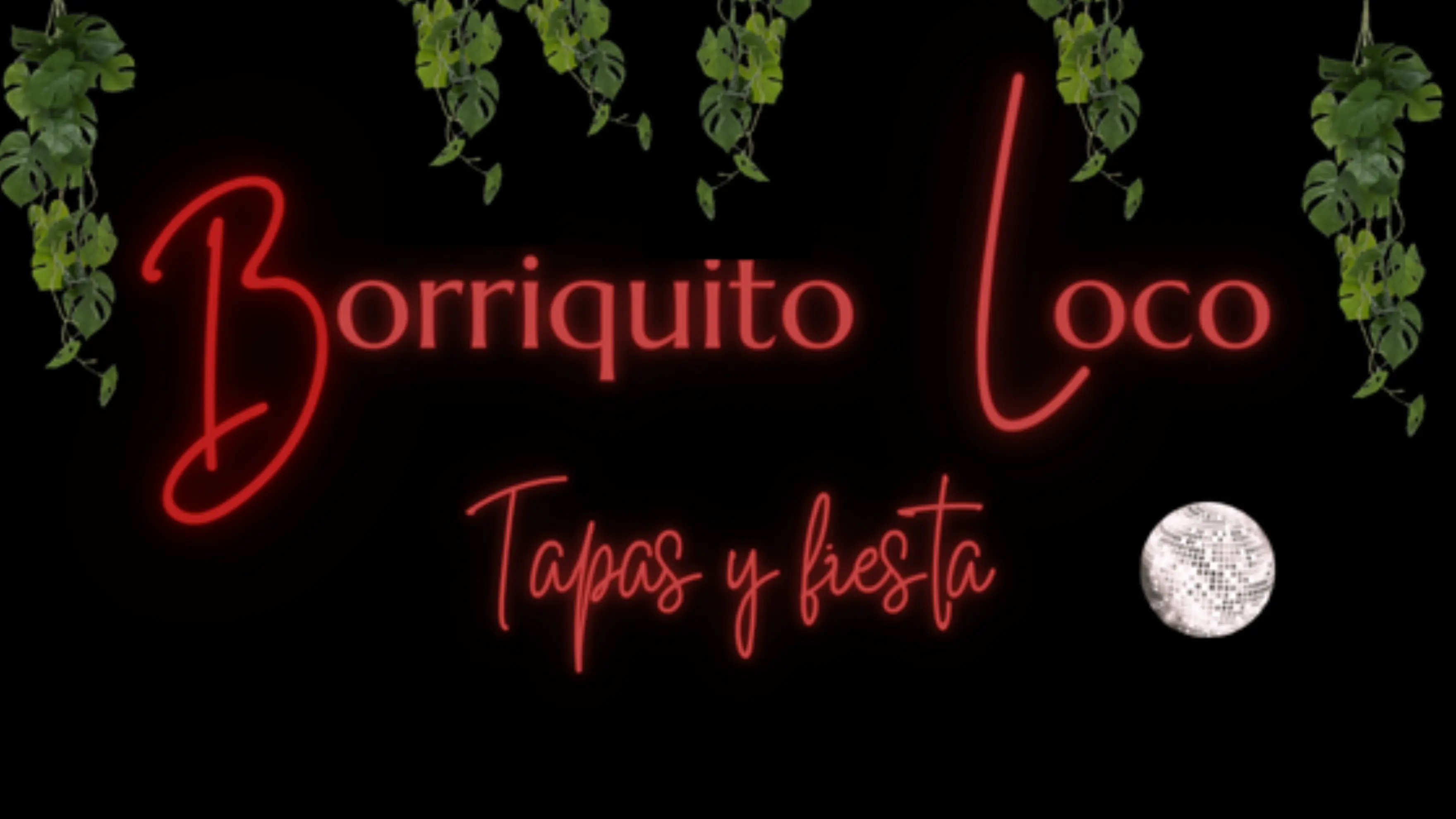 Borriquito Loco - Toulouse (Haute-Garonne)