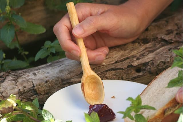 Découverte des plantes sauvages comestibles - ÉTANG-LA-VILLE (78)