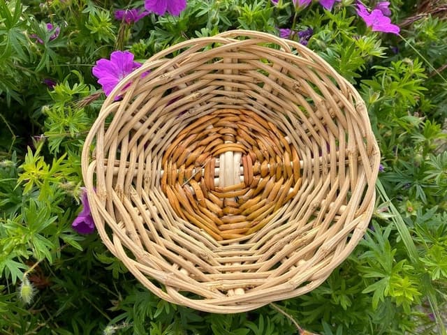 Inititation à la vannerie - ÉTANG-LA-VILLE (Yvelines)