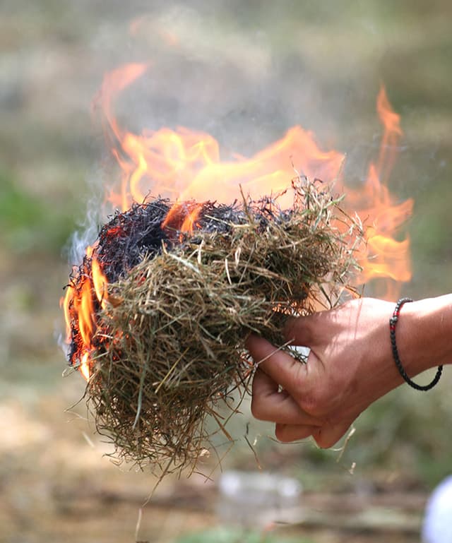 Primitive Technology - ÉTANG-LA-VILLE (78)