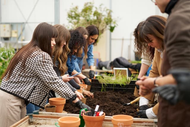Atelier Main Verte / Aromatiques - SAINT-DENIS (93)
