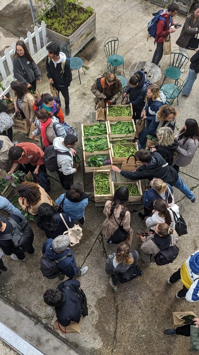 Atelier Maraîchage - SAINT-DENIS (Seine-Saint-Denis)