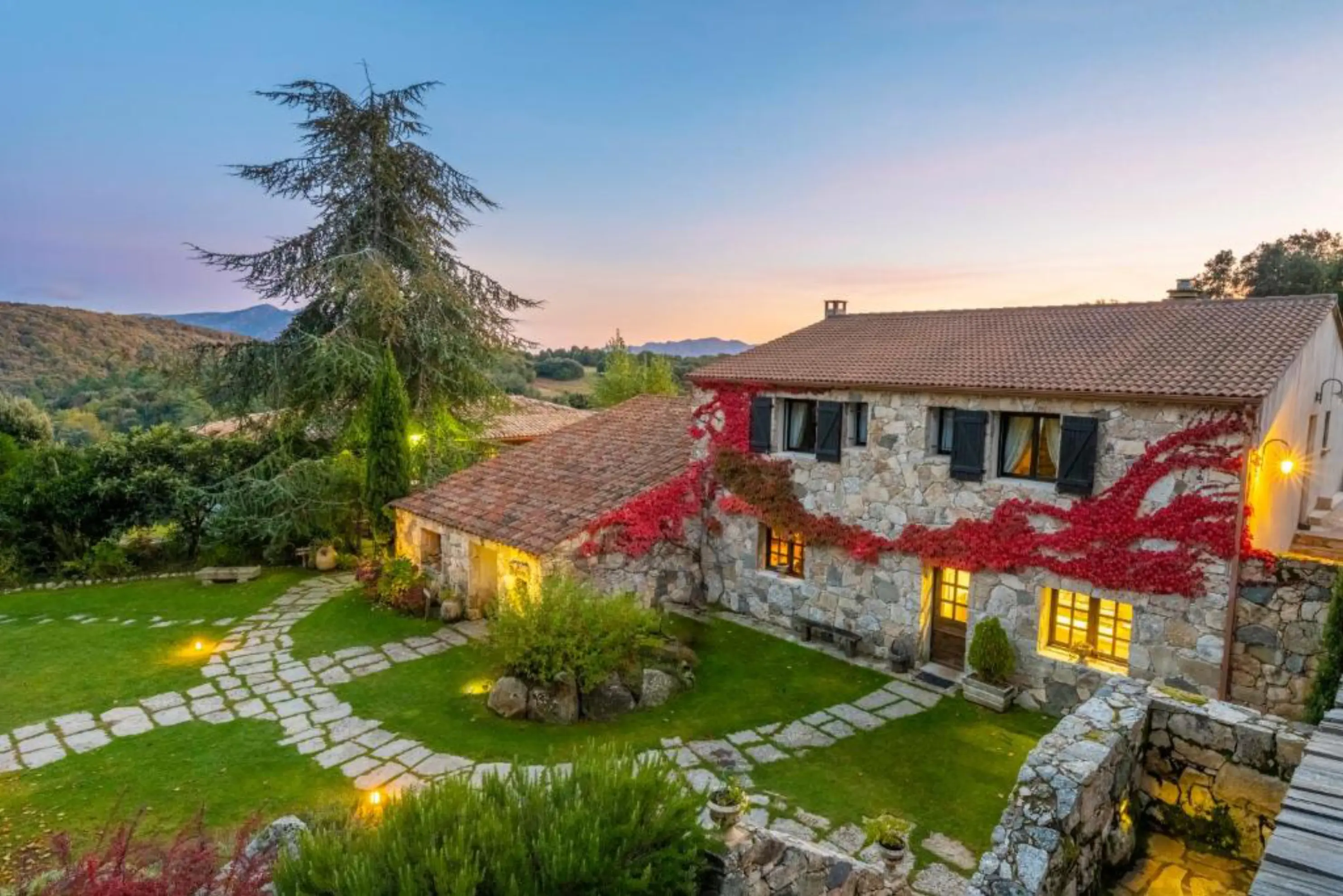 A Pignata - Levie (null)