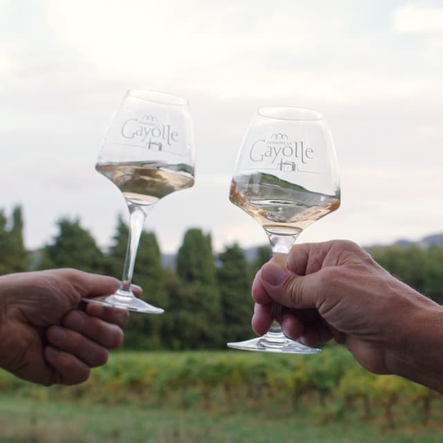 Visite du Domaine et dégustation - BRIGNOLES (83)