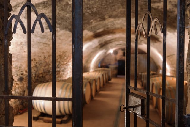 Atelier assemblage des vins - BRIGNOLES (83)