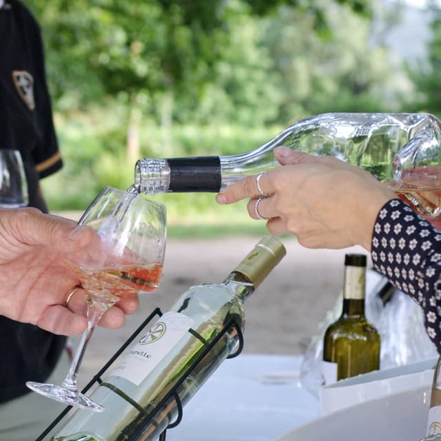 Dégustation et accords mets et vins - BRIGNOLES (Var)