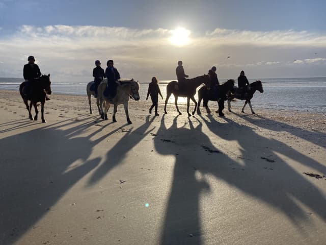 Ballade à Cheval Exclusive sur la Plage - DEAUVILLE (14)