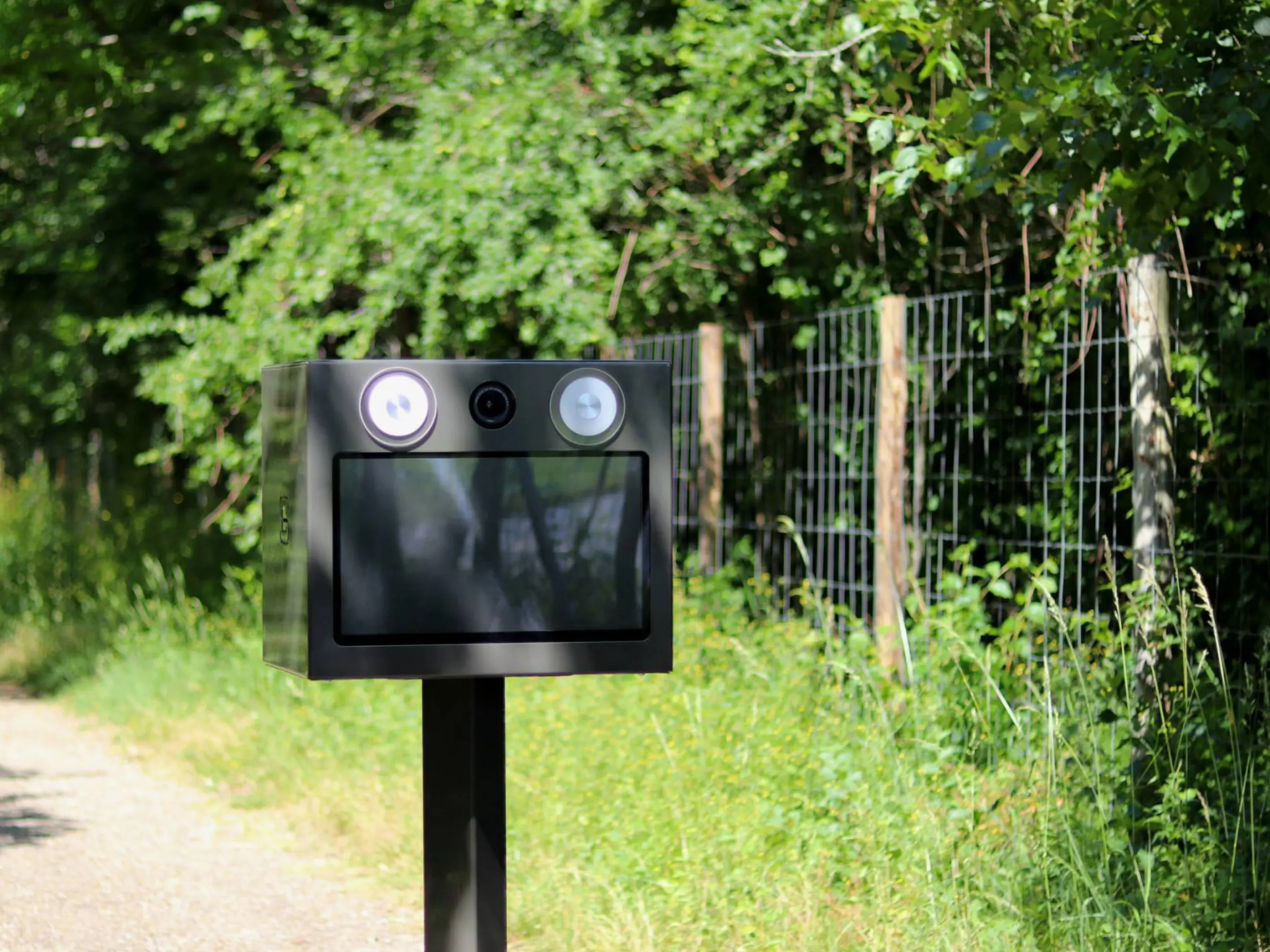 Arthur et William - Mérignac (null)