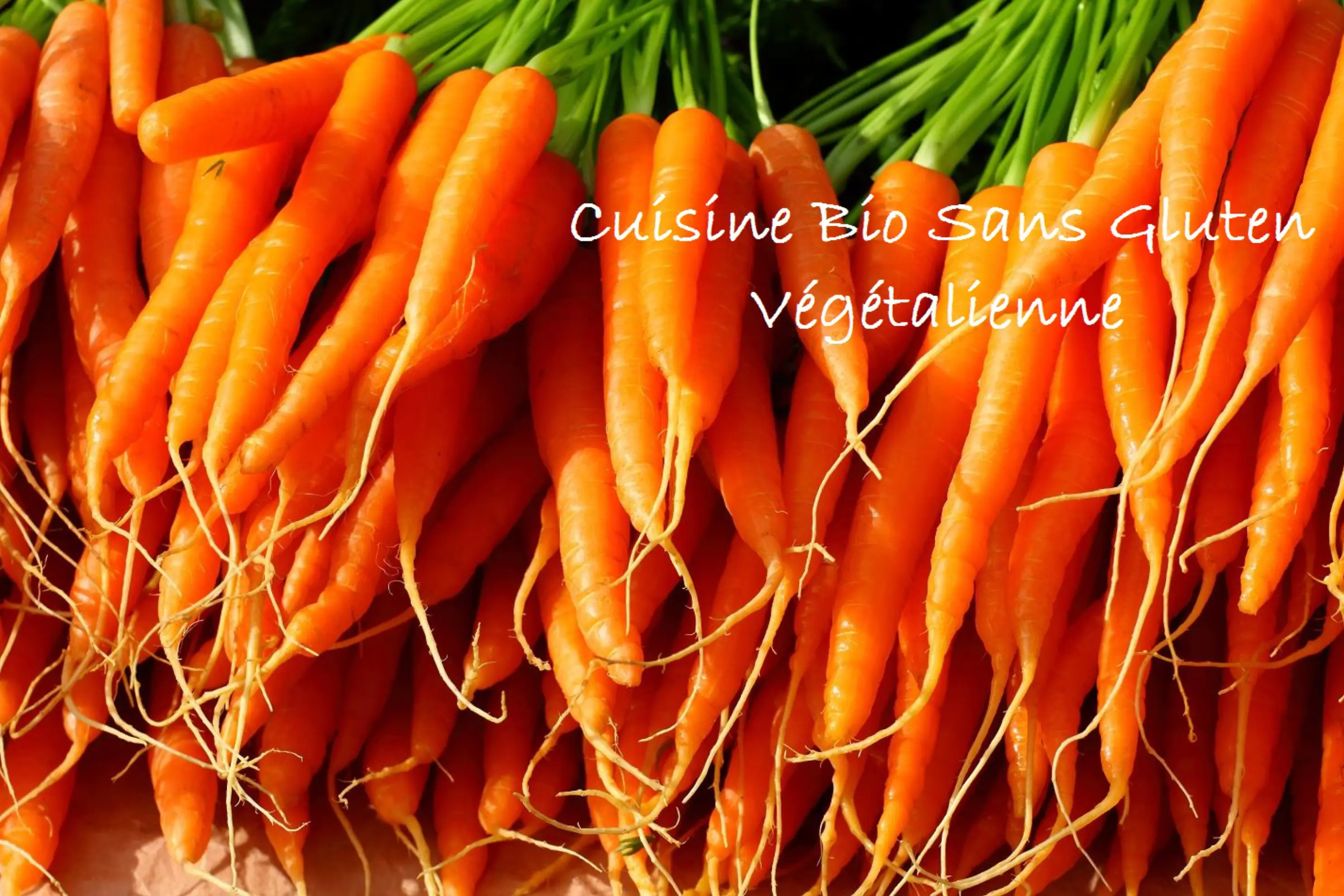 La Muse Gourmette - Gignac (null)