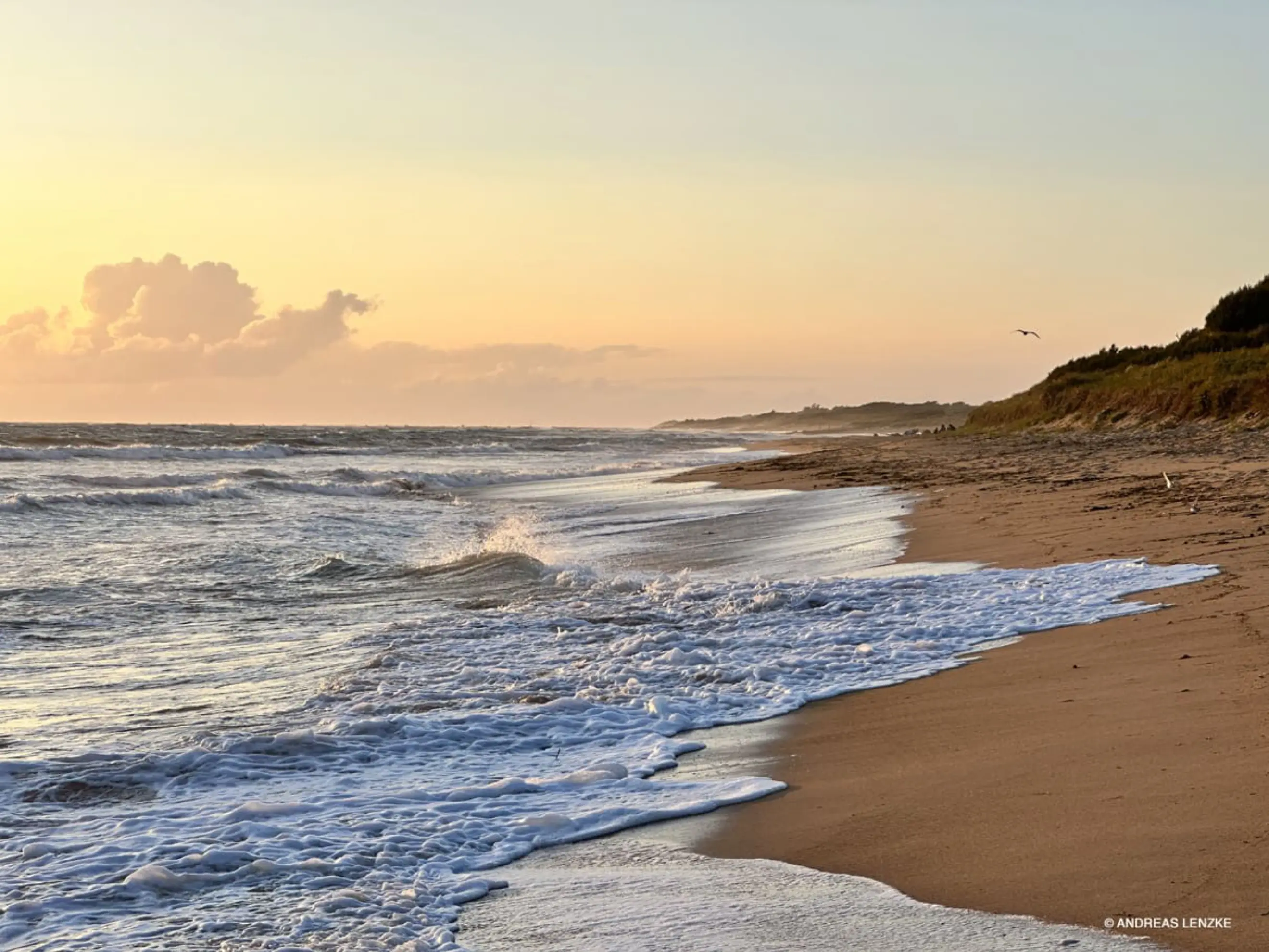 La Colo and Co - DOLUS-D'OLÉRON (Charente-Maritime)