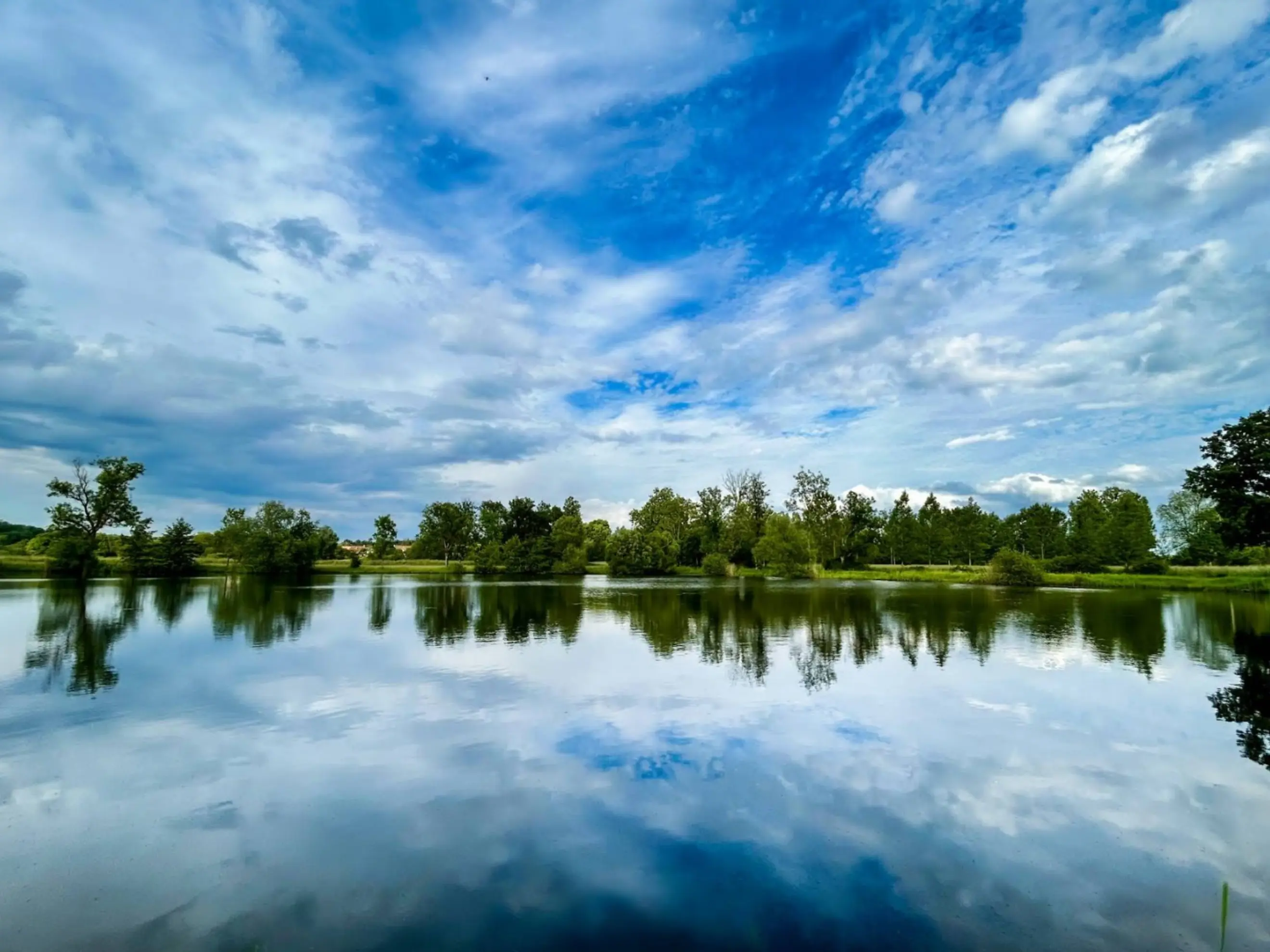 Etat Nature - Magnières (Meurthe-et-Moselle)