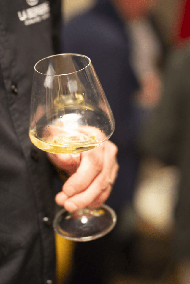 Dégustation des vins dans les Vignes  ou à La Bergerie - DIJON (21)