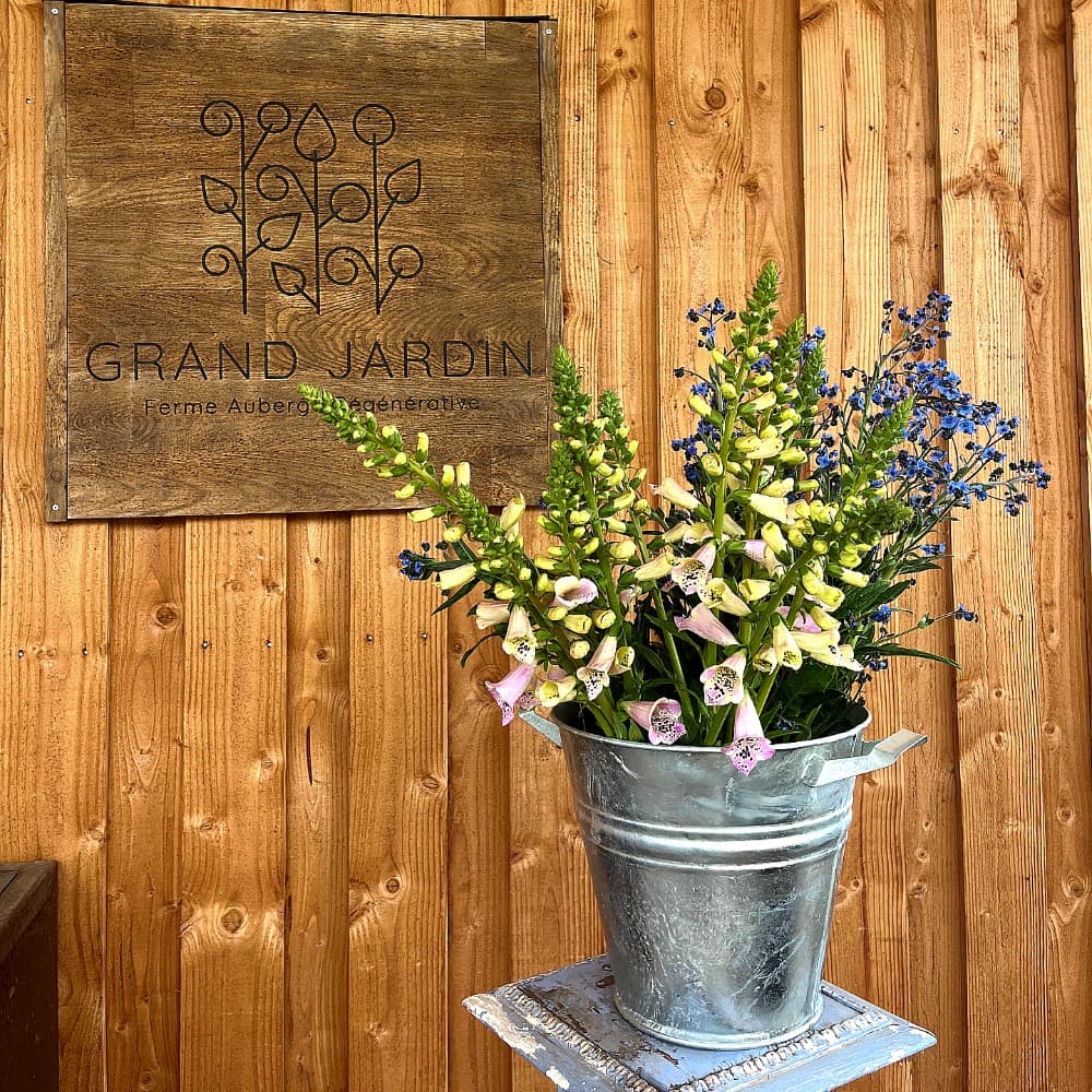 Atelier maraîchage, atelier fleurs - Lamblore (28)