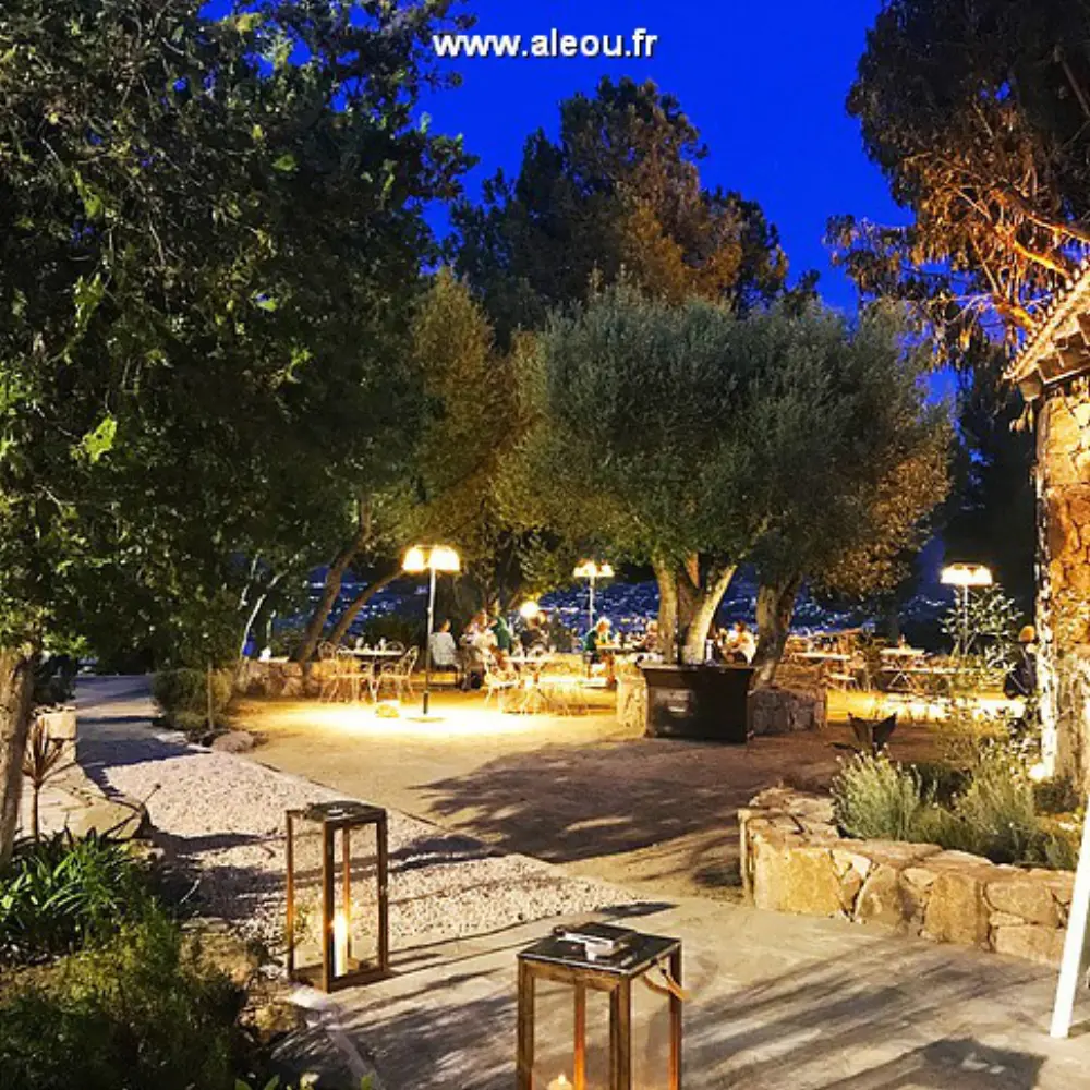 Vigna Maggiore - Olmeto (Corse 2A-2B)