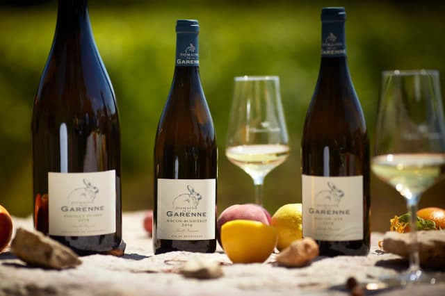 Escapade en 4x4 à travers les vignes suivie d'une dégustation - Mercurey (Saône-et-Loire)