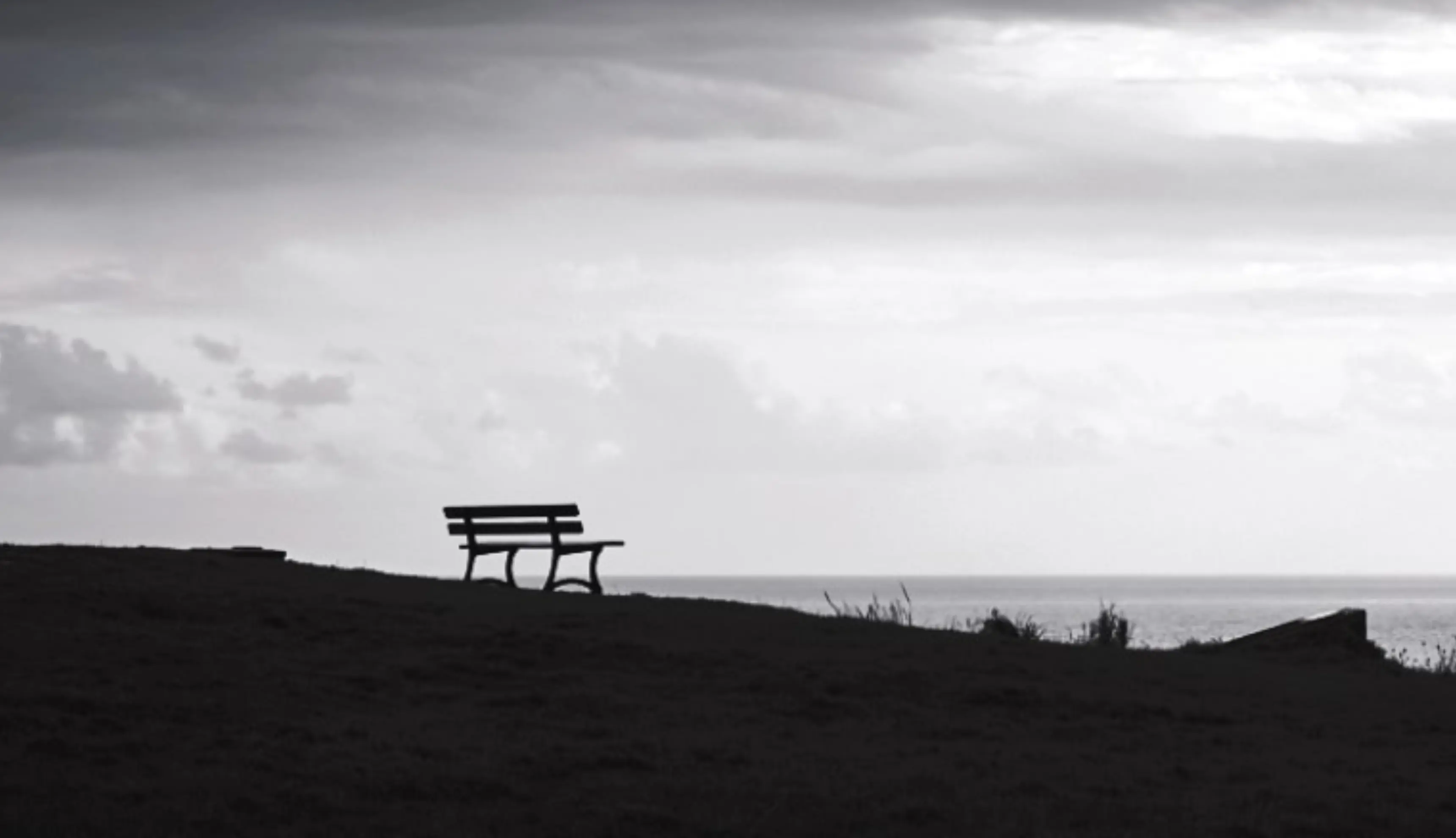 Image de l'établissement Arts Photo Passion