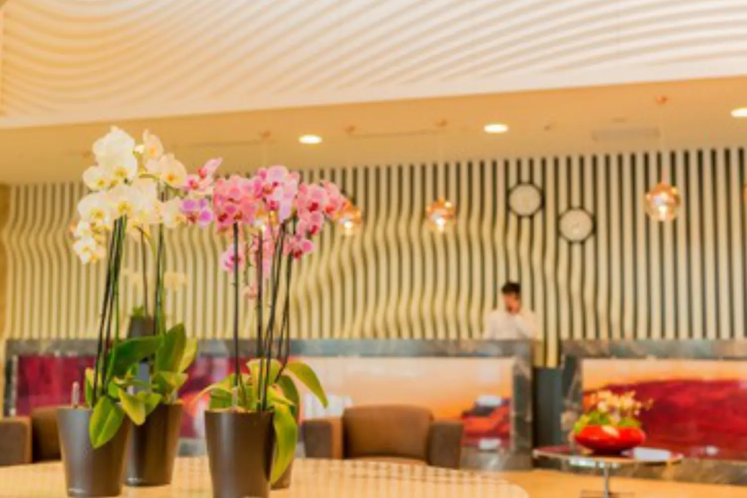 Image de l'établissement Comptoir Floral