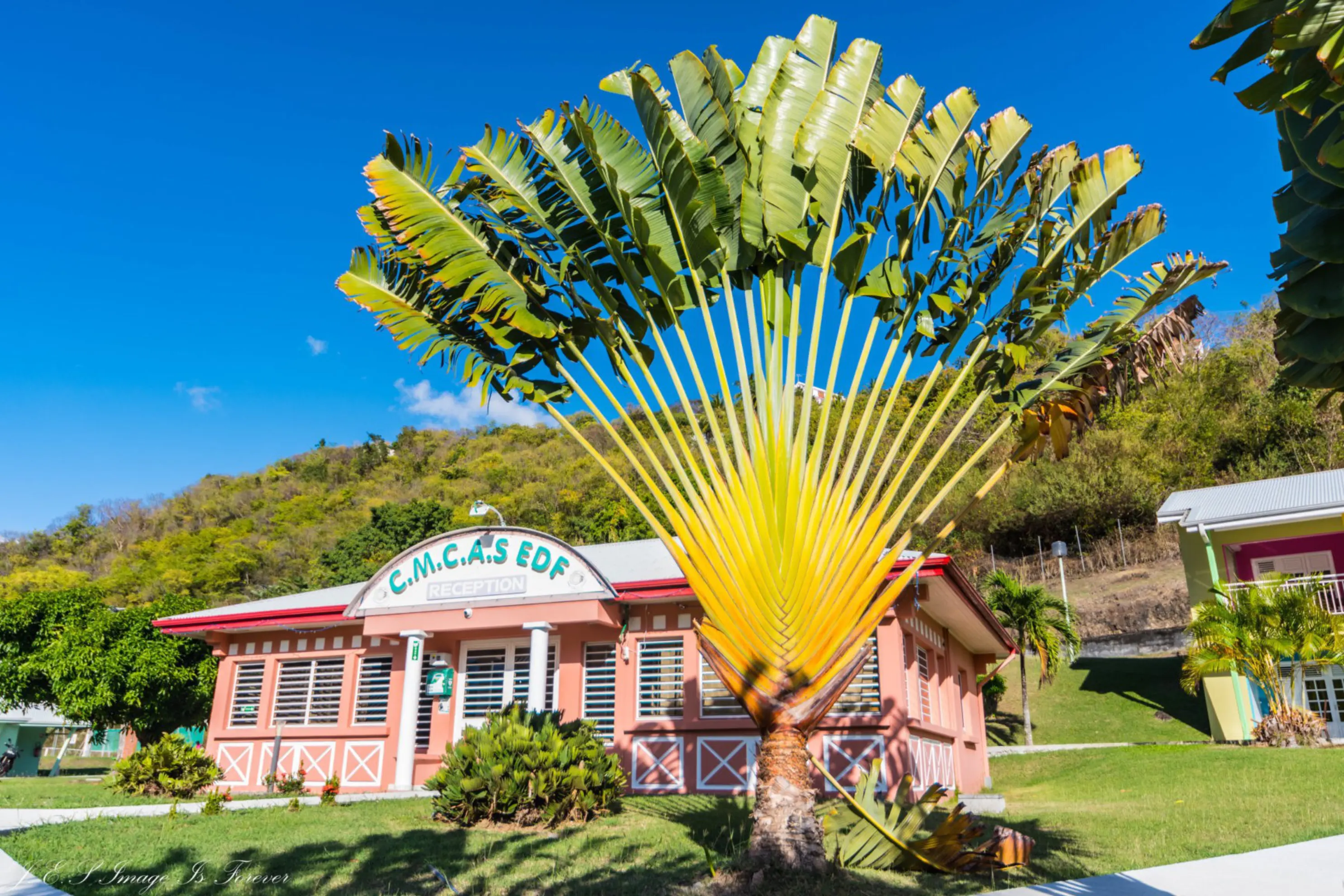 CMCAS EDF Martinique - LAMENTIN (Martinique)