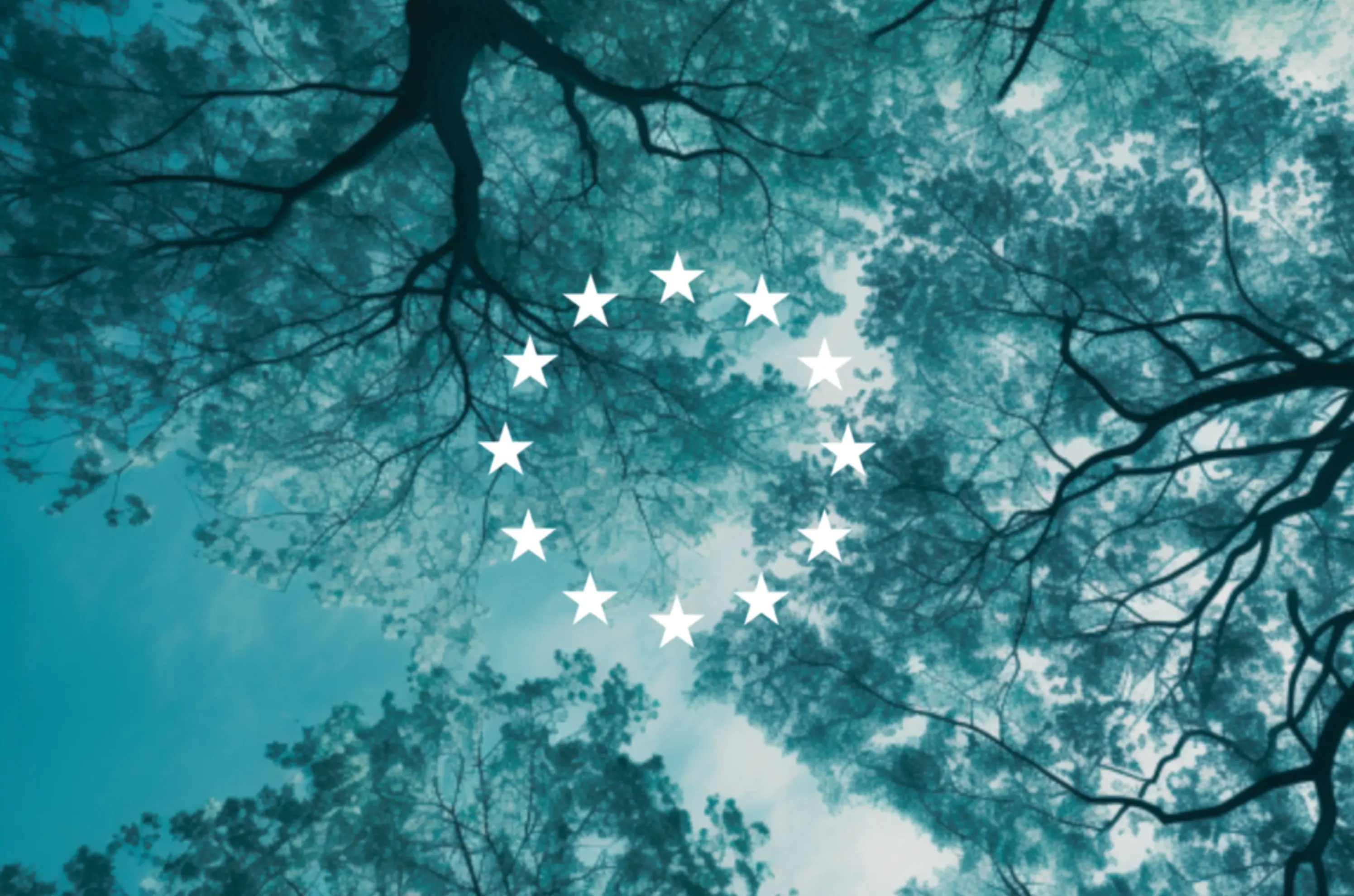 Ici et Demain - PARIS (Paris)