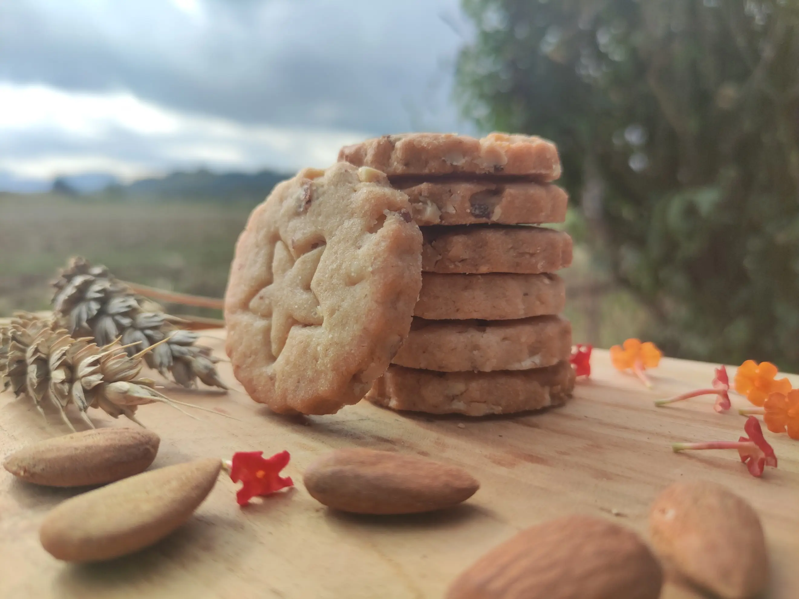 Biscuiterie Vanig et Délices - GRANE (Drôme)